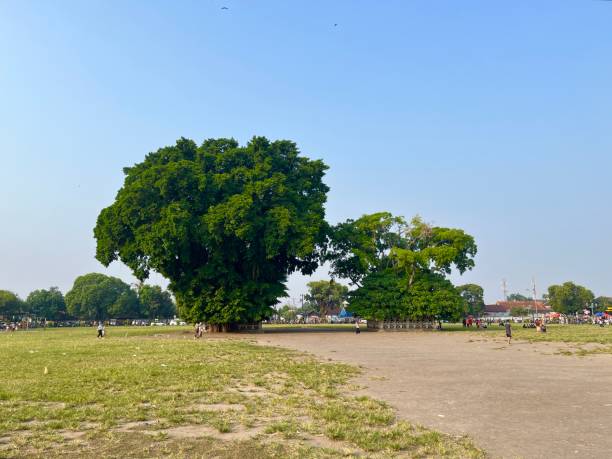istock Tourism place with banyan trees and city square 2152443618