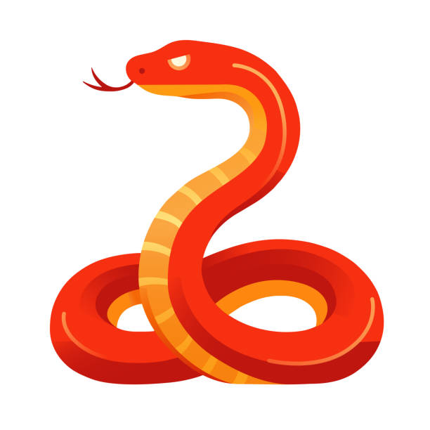 istock Red Snake. Chinese Zodiac. Year of the Snake. 2152445900