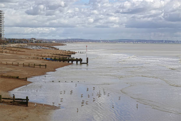 istock Beach at Worthing, Sussex, England 2152446104