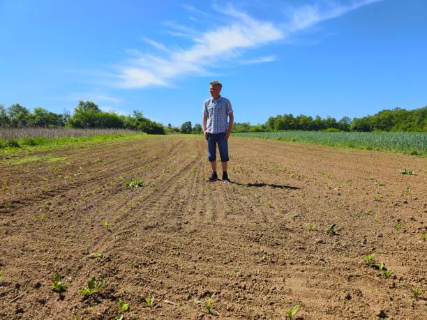istock Agriculture small business 2152448863