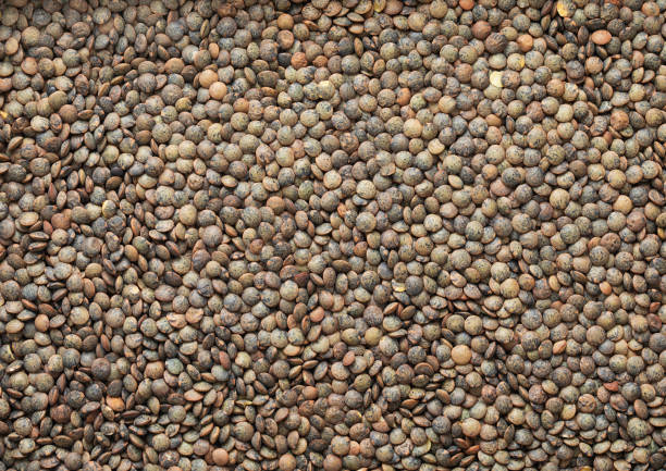 istock Green raw healthy lentils grain seeds textured background.Macro. 2152450793