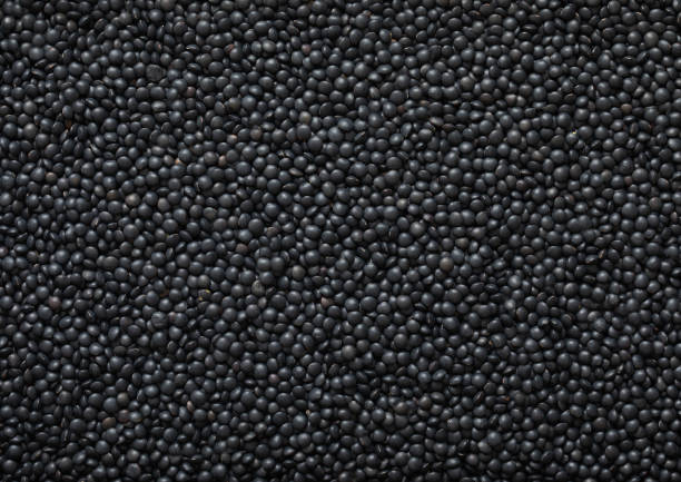 Black organic raw lentils grain seeds textured background.