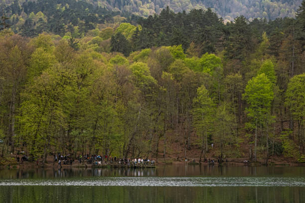 Turkey Bolu Yedigoller nature area