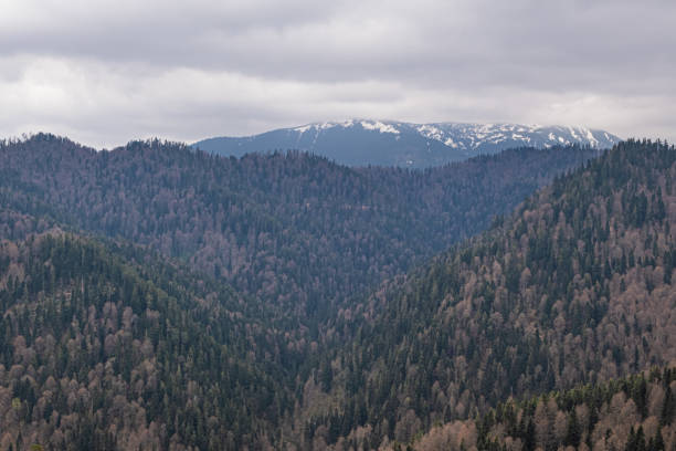 Turkey Bolu Yedigoller nature area