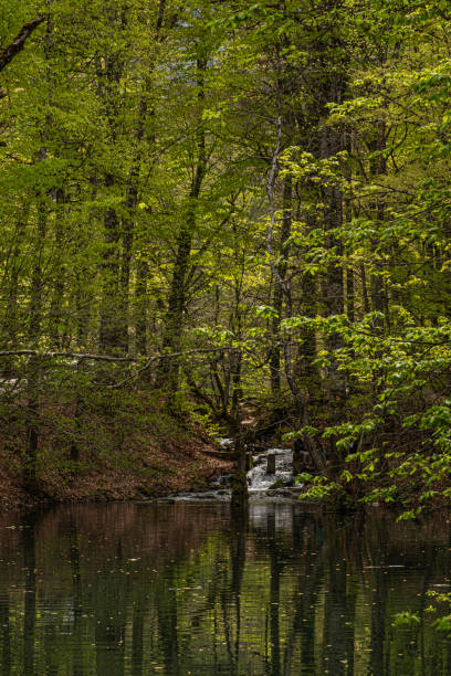 istock Nature Bolu Turkey Yedigoller 2152459138
