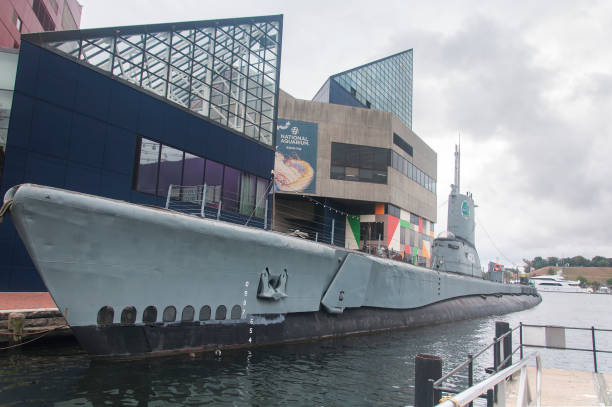 Den Helder, Netherlands. July 31, 2024. Historical Naval Museum of Den Helder. U-boat Tonijn in the outdoor area