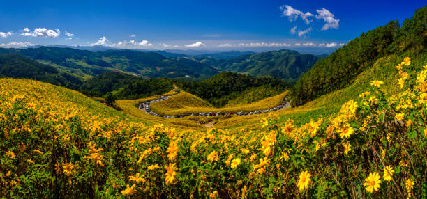 istock Doi Mae Ukho, Mae Hong Son 2152463174