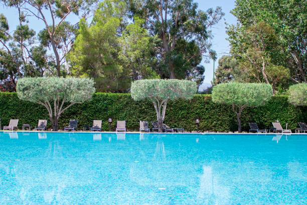 istock Pool area. Swimming pool with palm trees 2152463325