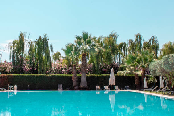 istock Pool area. Swimming pool with palm trees 2152463446