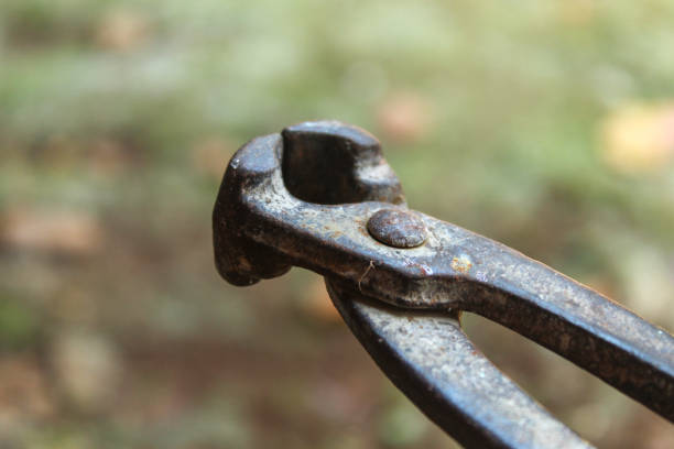 Pliers Over White Background