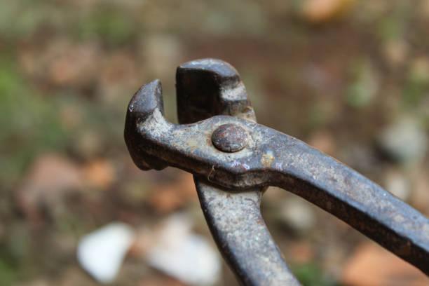 rusty wire cutter