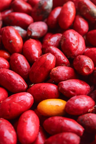 istock Beautiful texture of red melinjo. Gnetum gnemon. 2152465071
