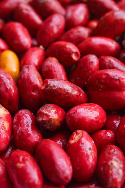 istock Beautiful texture of red melinjo. Gnetum gnemon. 2152465074