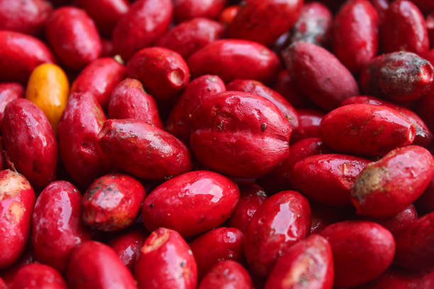 istock Beautiful texture of red melinjo. Gnetum gnemon. 2152465080