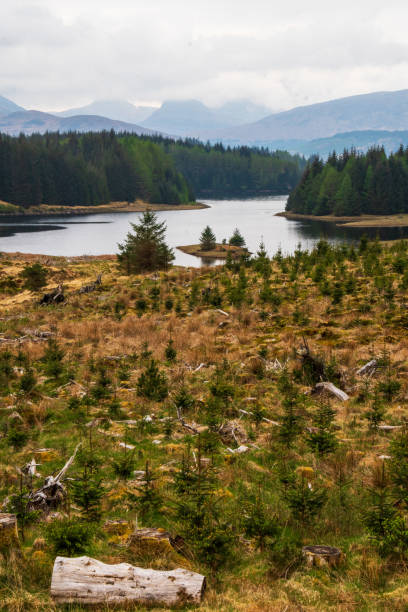Scottish highlands landscape on the way to Skye Island in a cloudy day,  woods, lakes and hills