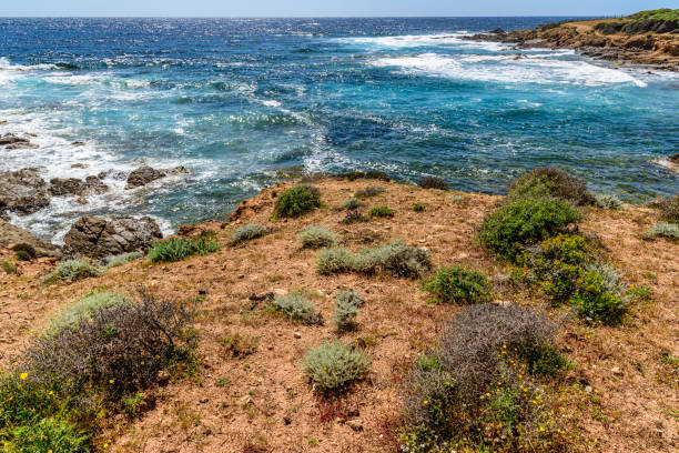 paysage de bord de mer en Corse du sud au printemps