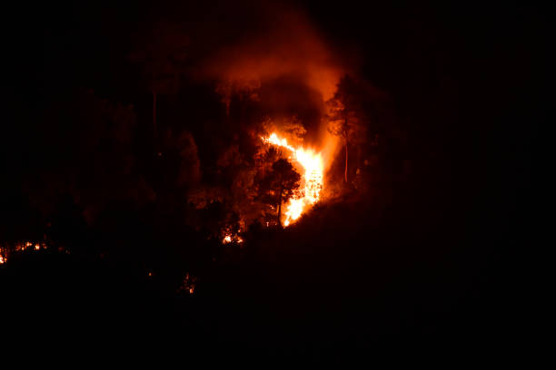 istock A forest fire on a hill in Meghalaya at night. 2152471356