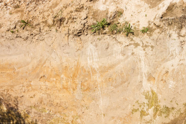 istock Transverse section of the soil 2152473802