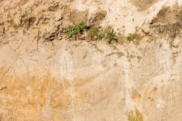 istock Transverse section of the soil 2152473806