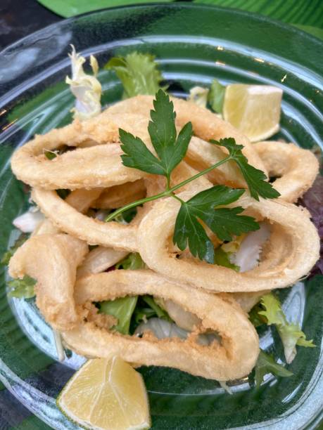 istock Plate of Calamari 2152479669