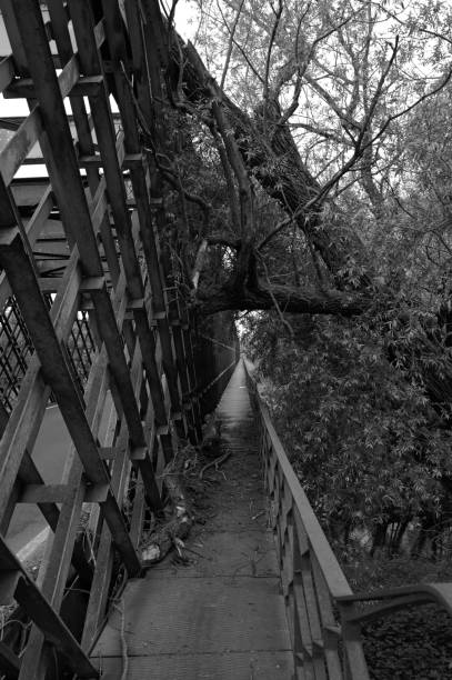 Old Iron Bridge in Piedmont