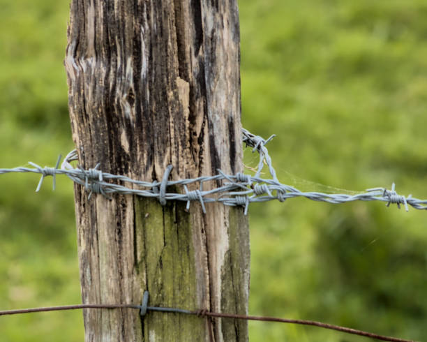 istock wooden post with barbed wire 2152483050