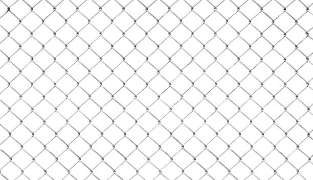 Steel chainlink mesh fence isolated on white background with clipping path