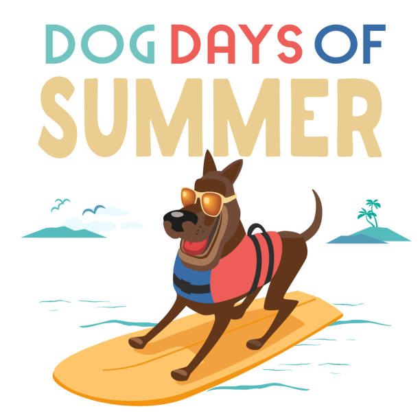 istock Dog Days of Summer on sea beach fancy poster 2152488628