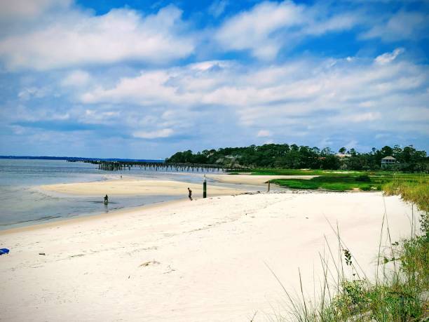 istock Beach Scene at Amelia Island 2152493189