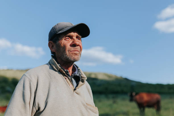 istock Fields of Experience Senior Peasant Man Farmer Poses Outdoors 2152494514