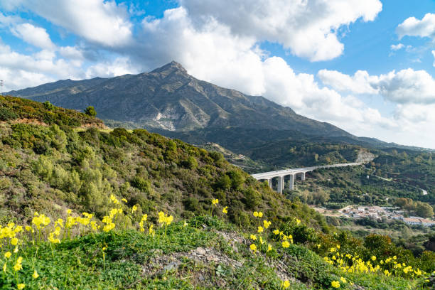 A landscape image of the hills and mountains surrounding Marbella in the spring