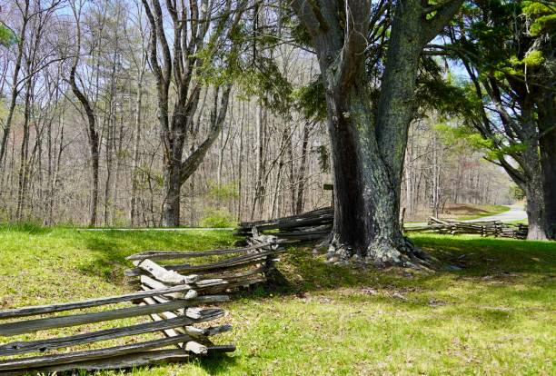 istock Country Road with zig zag rail fence 2152514670