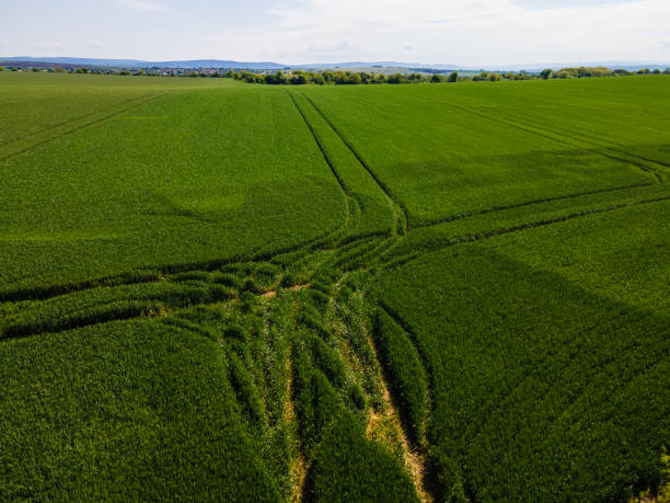 istock Green Agricultural Field, Aerial View. 2152518168