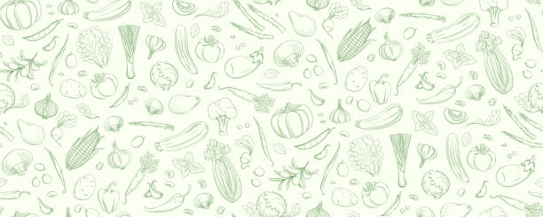 ilustrações de stock, clip art, desenhos animados e ícones de hand-drawn linear style seamless vegetable pattern for culinary designs. - food