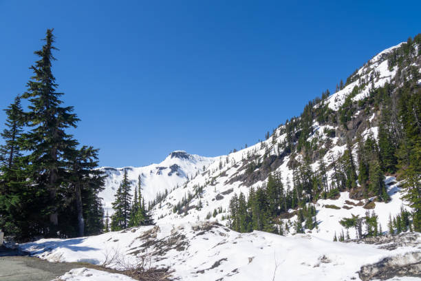 istock Mt Baker in Washington State USA 2152519805