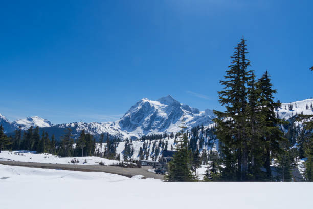 istock Mt Baker in Washington State USA 2152519812