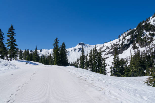 istock Mt Baker in Washington State USA 2152519819