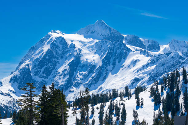 istock Mt Baker in Washington State USA 2152519839