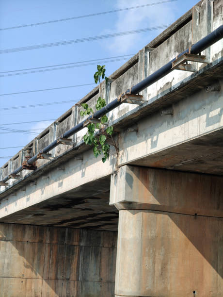 istock road bridge in country Thailand 2152520413