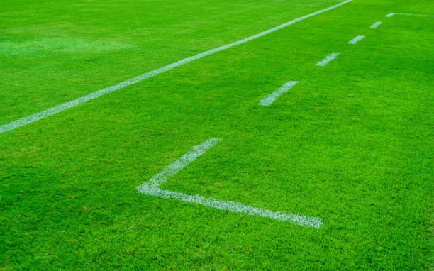 white line in soccer field grass.