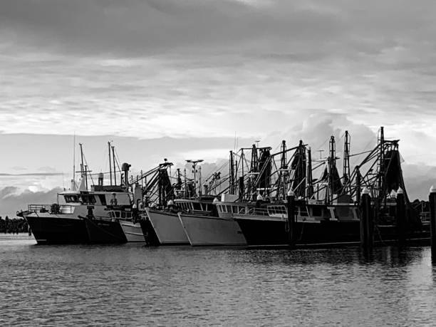 istock Fishing fleet in black and white 2152524275