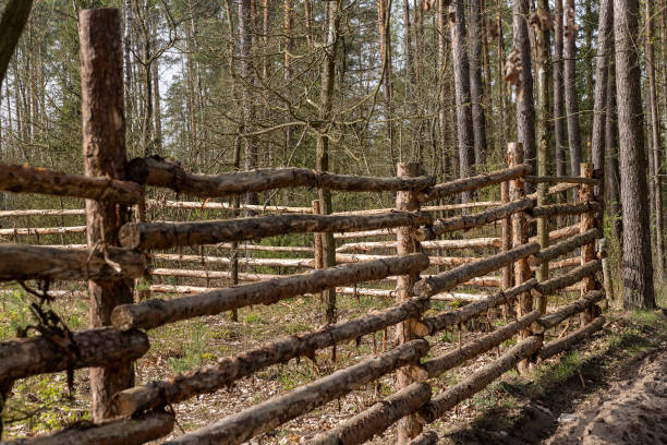 istock an old primitive fence in the forest from animals 2152524933