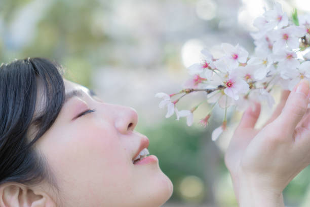 istock A woman who is enchanted looking at cherry blossoms 2152528152