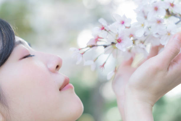 A woman who is enchanted looking at cherry blossoms