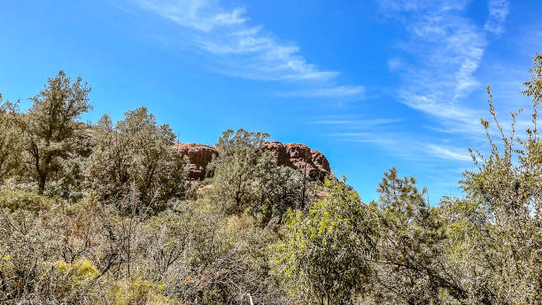 Years of hot temperatures combined with wind have created unique land formations in the Sedona, Arizona area. Many come to view these amazing sights.