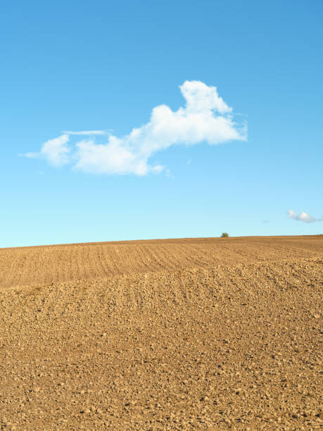 istock Soil prepared for planting crops during a sunny and dry springtime day. 2152530098