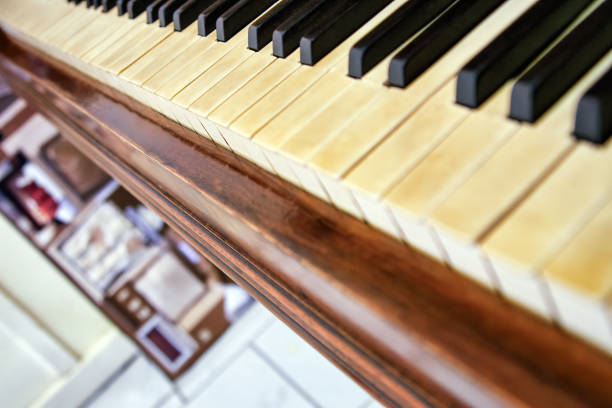 Keys of a 19th-century German-made piano, shot with very shallow depth of field for a dreamy effect. Camera: Canon EOS 1Ds Mark III.