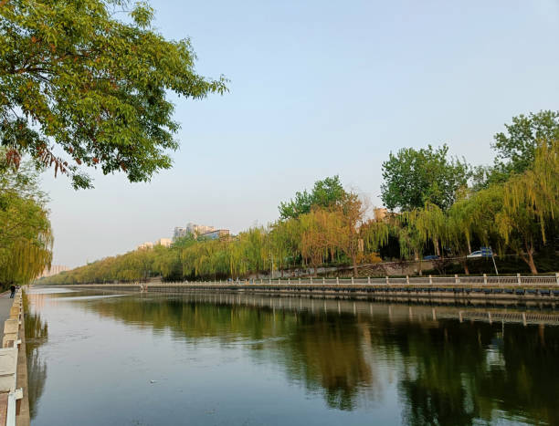 istock China, Beijing, weeping willows near the water 2152541924