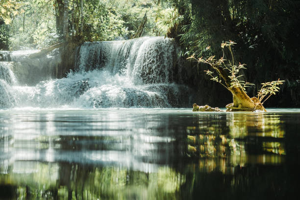 Experience the breathtaking beauty of Kuang Si Waterfalls, a natural wonder nestled in the heart of Luang Prabang, Laos. As vibrant turquoise waters cascade down multi-tiered limestone formations, a sense of awe and tranquility washes over visitors. The crystal-clear pools at the base of the falls invite exploration and offer a refreshing respite from the tropical heat. Surrounded by lush greenery and the symphony of nature's melodies, Kuang Si Waterfalls provide a serene sanctuary for both soulful reflection and exhilarating adventure in the midst of pristine natural beauty.