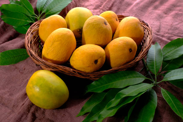 istock Mango tropical fruit with green leaf, Ripe mango in grass closeup 2152543767